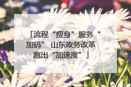 流程“瘦身”服务“加码” 山东政务改革跑出“加速度”